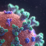 CORONAVIRUS VERSUS PERMIS DE CONDUIRE